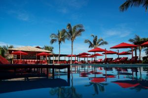 manati_2026_14